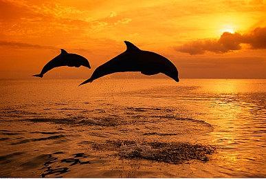 AMD宣布FSR 2.0现已适用于101款游戏